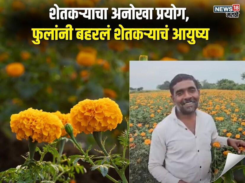 शेतकऱ्याने फुलांची शेती केली आणि या फुलांनी त्याच्या आयुष्यात रंग भरले. त्याच्या चेहऱ्यावर हसू आलं, घरात धनलक्ष्मी आली. एका एकरातच मोठा नफा झाला. या शेतकऱ्याने कोणत्या फुलांची शेती केली, तो कुठला आहे, त्यांच्या यशाची आणि संघर्षाची कहाणी प्रत्येक शेतकऱ्याला नव्याने उमेद देणारी आहे. 