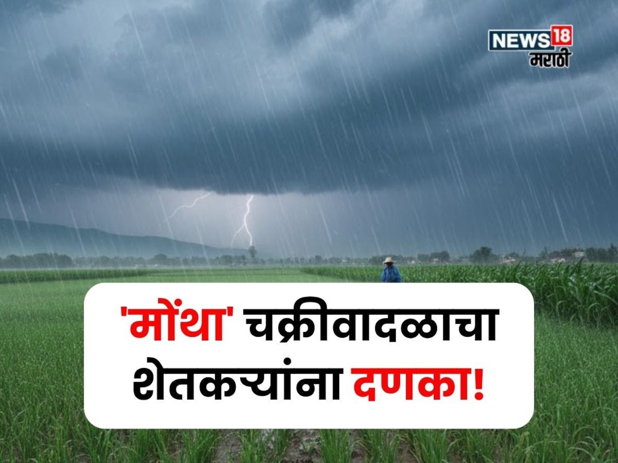 'मोंथा' चक्रीवादळाचा शेतकऱ्यांना दणका! या जिल्ह्यांत पाऊस धुमाकूळ घालणार, कृषी सल्ला काय?