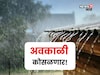 शेतकऱ्यांची चिंता वाढली! १७ जिल्ह्यांत अवकाळी कोसळणार, पिकांसाठी सल्ला काय?
