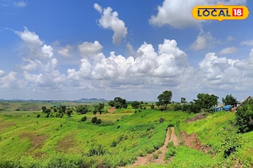 मराठवाड्यातील हवामानात मोठे बदल, तापमानात वाढ कायम, आज काय राहील स्थिती? मराठवाड्यातील हवामानात मोठे बदल, तापमानात वाढ कायम, आज काय राहील स्थिती?