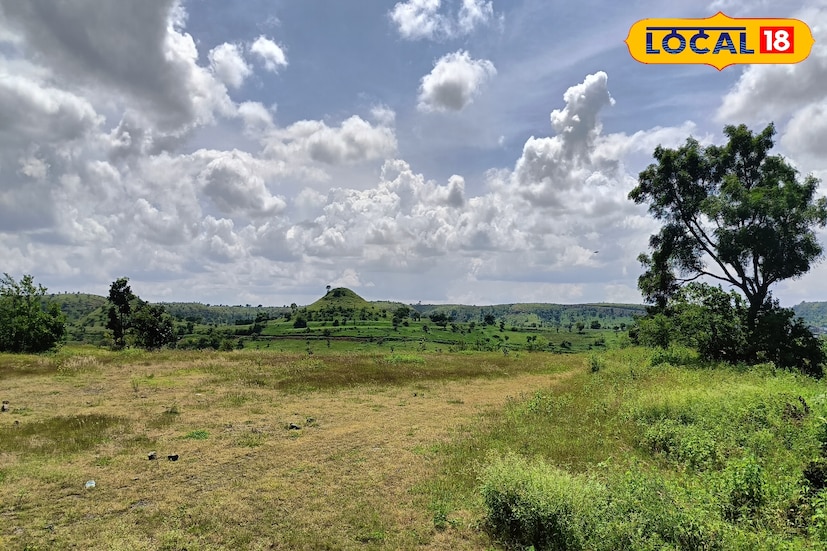 दरम्यान, मराठवाड्यातील हवामानात सातत्याने बदल जाणवत आहेत. दुष्काळी मराठवाड्यत सप्टेंबरमध्ये विक्रमी पाऊस झाला. त्याचा फटका शेतकऱ्यांना बसला. आता पावसाचा जोर ओसरल्याने शेतकऱ्यांना काहीसा दिलासा मिळाला होता. परंतु, पुन्हा यलो अलर्ट जारी करण्यात आल्याने नागरिकांना योग्य ती काळजी घ्यावी लागेल. 