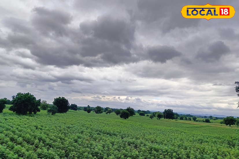 दरम्यान, गेल्या दोन दिवसांत पावसाच्या सरींमुळे तापमानात किंचित घट नोंदवली गेली आहे. सकाळी आणि सायंकाळी थंडावा जाणवत असून दिवसभर ढगाळ वातावरण कायम आहे. त्यामुळे नागरिकांना उन्हाचा त्रास कमी झाला असून वातावरणात ओलसरपणा जाणवत आहे.