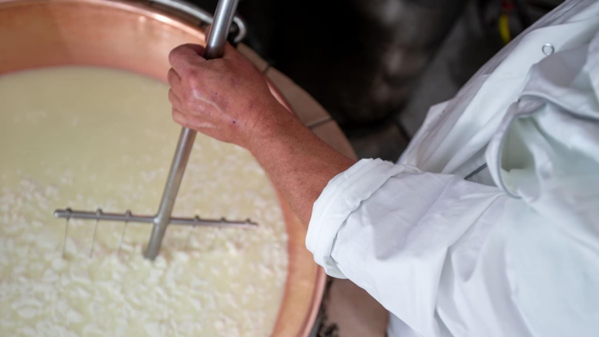 कोणत्या प्राण्याच्या दुधाचं दही बनत नाही? कारण ऐकून म्हणाल, अरे बापरे असं पण असतं का?