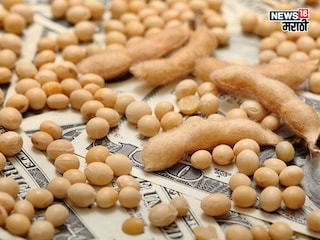 soybean market soybean market