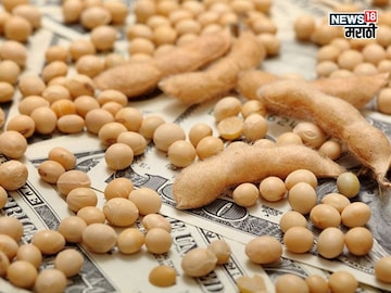 soybean market soybean market
