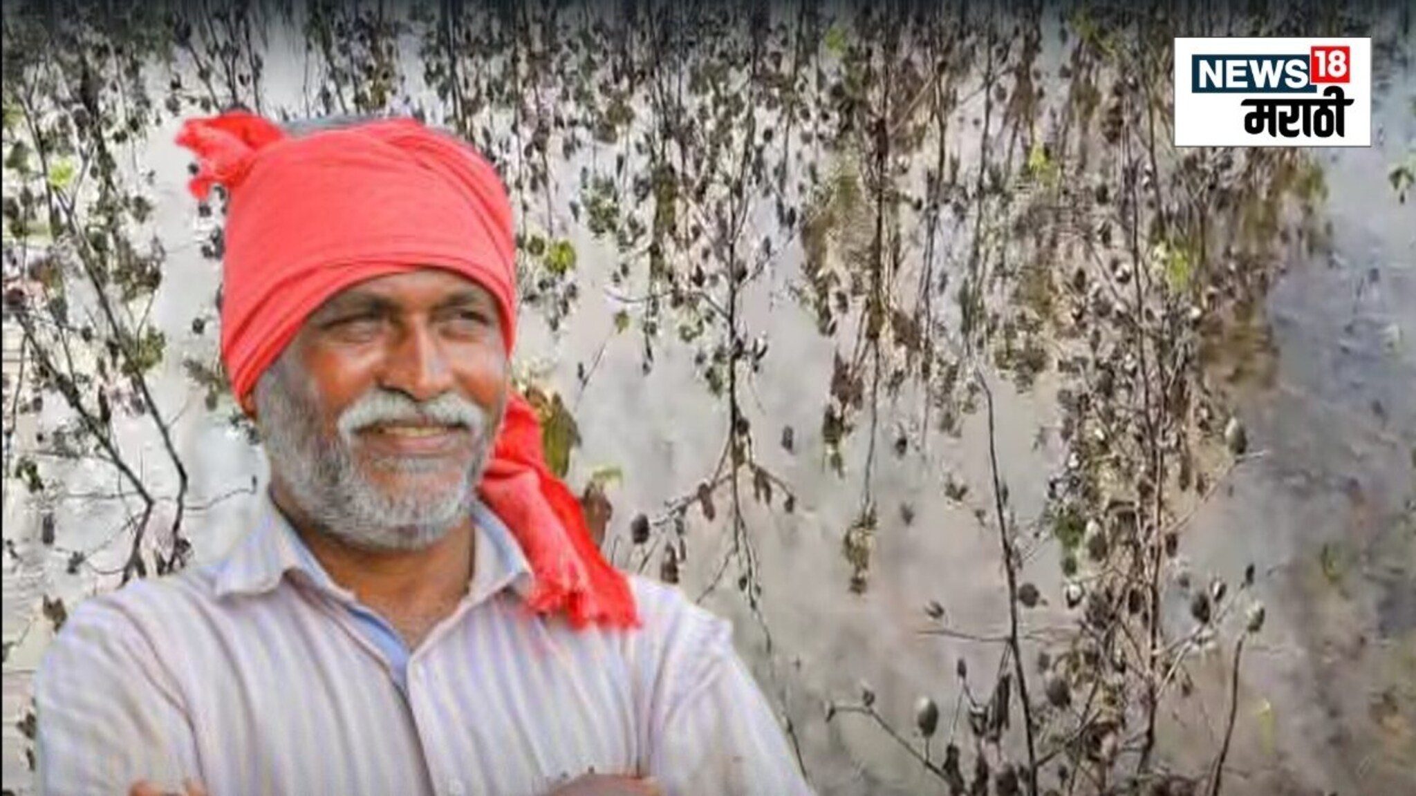 मोठी अपडेट! केंद्र सरकार पीक विम्यात करणार बदल,अशी असणार नवीन पद्धत