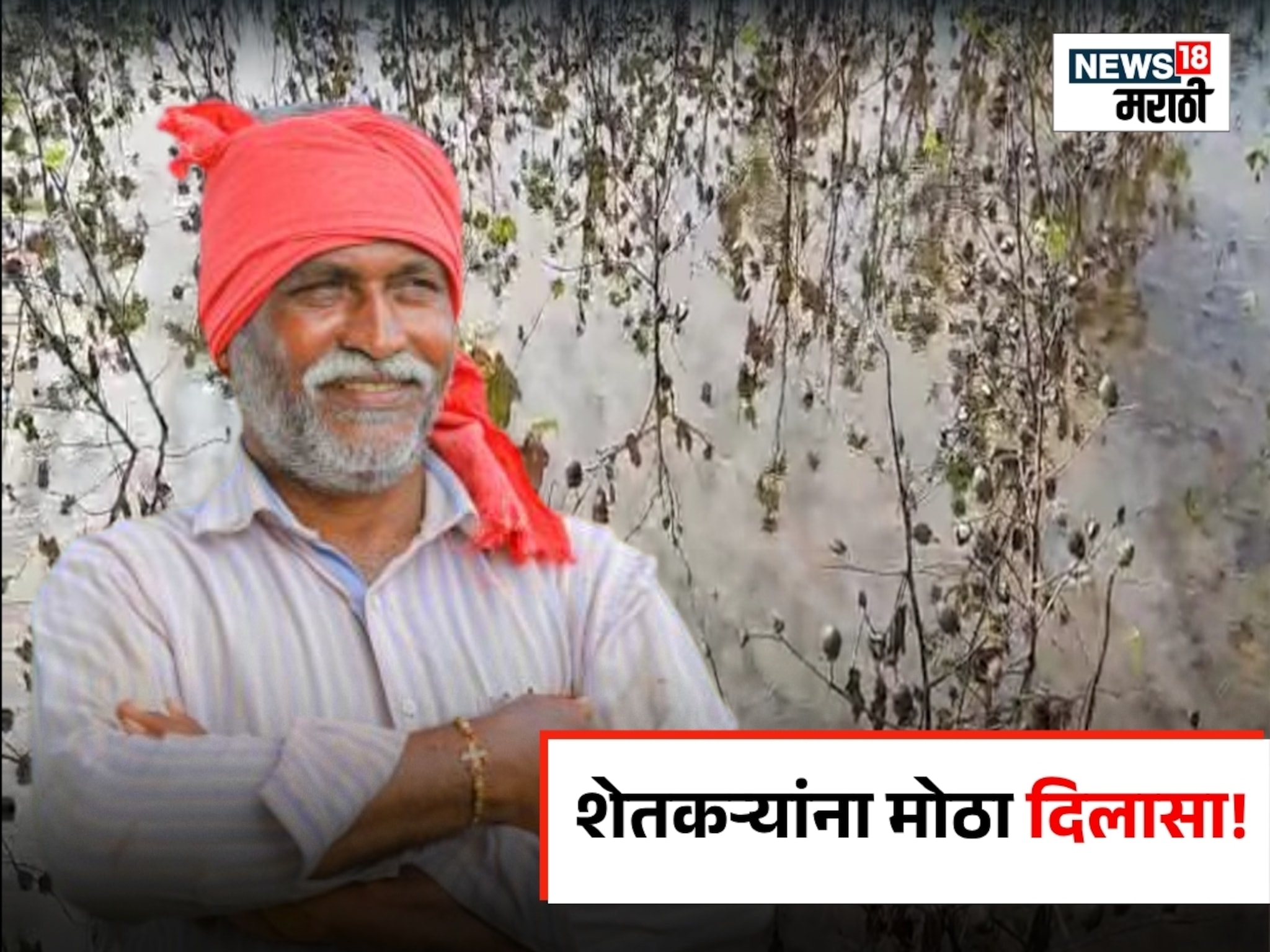 मोठी अपडेट! केंद्र सरकार पीक विम्यात करणार बदल,अशी असणार नवीन पद्धत