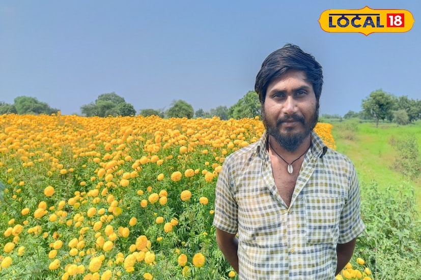  पत्रकार परिषदेत बोलताना ज्ञानेश्वर चव्हाण म्हणाले, “पूर्वी मी कापूस, ज्वारी आणि सोयाबीन हीच पिकं घेत होतो. पण खर्चाच्या तुलनेत मिळणारा उत्पन्नाचा फायदा अत्यंत मर्यादित होता. एका मित्राच्या सल्ल्याने मी झेंडू शेतीचा प्रयोग केला आणि पहिल्याच वर्षी तब्बल चार लाखांचा नफा मिळवला.”