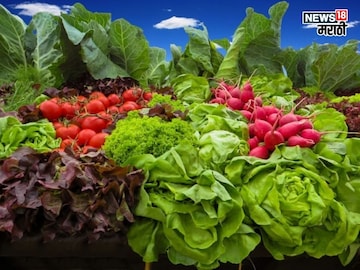 Agriculture News  Agriculture News