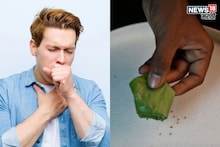 Cough : या पानामुळे 5-7 दिवसांत खोकला आणि छातीतील जळजळ दूर होईल, डॉक्टरांनी सांगितला प्रभावी उपाय