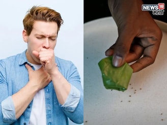 या पानामुळे 5-7 दिवसांत खोकला आणि छातीतील जळजळ दूर होईल