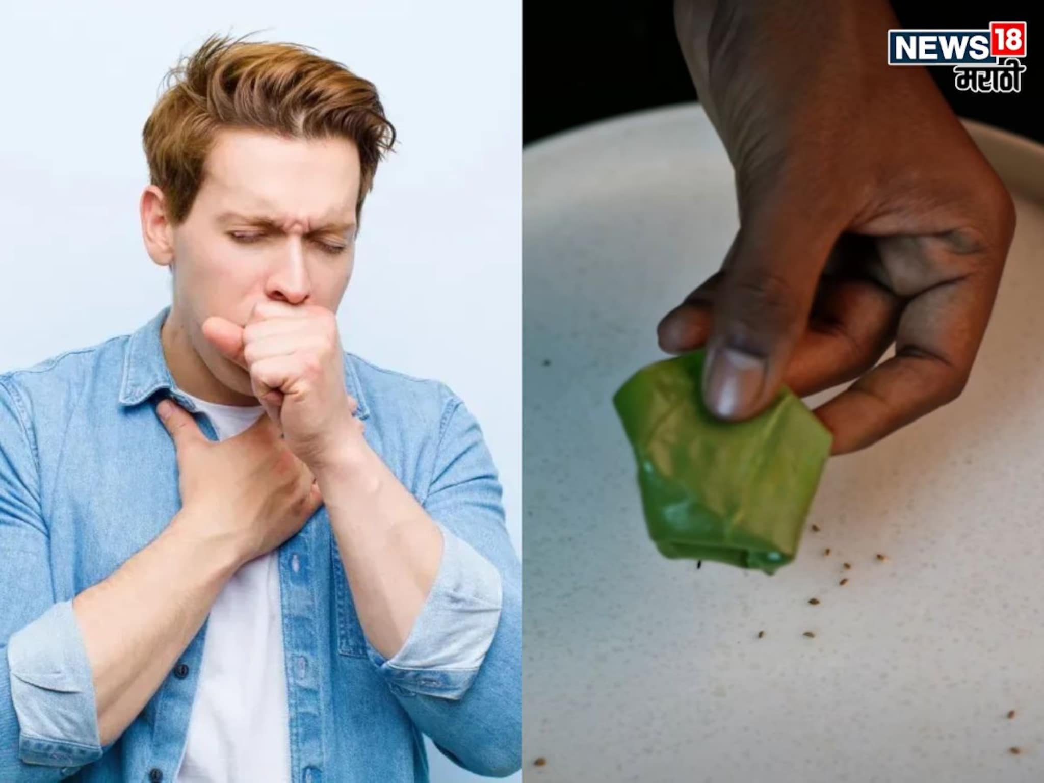 Cough : या पानामुळे 5-7 दिवसांत खोकला आणि छातीतील जळजळ दूर होईल, डॉक्टरांनी सांगितला प्रभावी उपाय