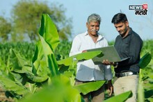 फळपीक विमा योजनेसाठी अर्जप्रक्रिया सुरू! पात्रता, नोंदणी कुठे अन् कशी करायची?