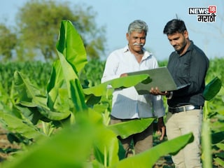pik vima yojana pik vima yojana