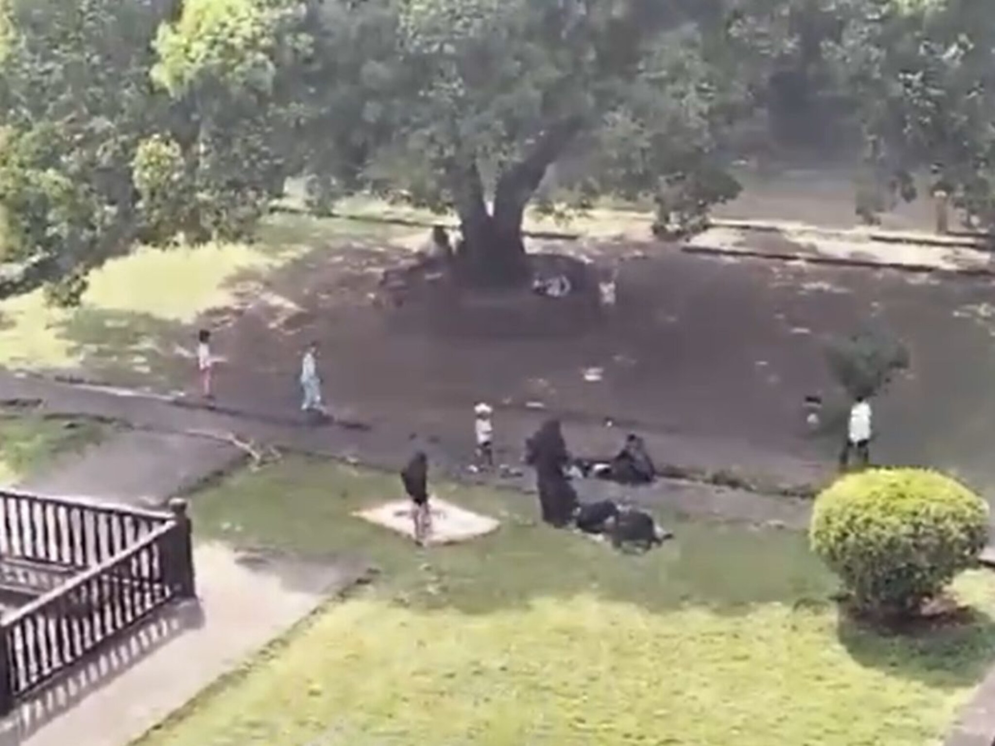 पुण्यातील शनिवारवाडा नमाज पठण प्रकरणी मोठी कारवाई, पोलिसांकडून गुन्हा दाखल