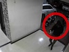 पुणेकरांनो तुमचा CCTV पण सेफ नाही, घरफोडीआधी दरोडेखोरांची नवी ट्रिक, Video