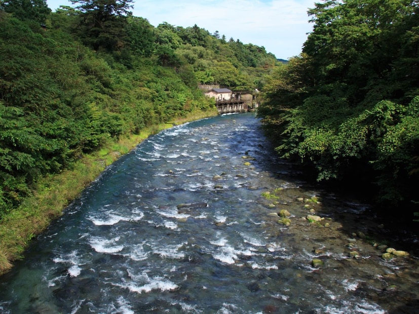भारतात नद्यांना केवळ पाण्याचे स्त्रोत मानले जात नाही, तर त्यांना 'माता' म्हणून पुजले जाते. आपल्या देशाची संस्कृती, शेती आणि अगदी अर्थव्यवस्थाही या नद्यांच्या प्रवाहावर अवलंबून आहे. हिमालयातील बर्फाच्छादित शिखरांपासून ते कन्याकुमारीपर्यंत पसरलेल्या या देशात नद्यांचे एक विस्तीर्ण जाळे आहे. काही नद्या पूर्वेकडून पश्चिमेकडे वाहतात, तर काही पश्चिमेकडून पूर्वेकडे. या प्रवासात त्या अनेक राज्यांच्या सीमा ओलांडतात. भारतात नद्यांना केवळ पाण्याचे स्त्रोत मानले जात नाही, तर त्यांना 'माता' म्हणून पुजले जाते. आपल्या देशाची संस्कृती, शेती आणि अगदी अर्थव्यवस्थाही या नद्यांच्या प्रवाहावर अवलंबून आहे. हिमालयातील बर्फाच्छादित शिखरांपासून ते कन्याकुमारीपर्यंत पसरलेल्या या देशात नद्यांचे एक विस्तीर्ण जाळे आहे. काही नद्या पूर्वेकडून पश्चिमेकडे वाहतात, तर काही पश्चिमेकडून पूर्वेकडे. या प्रवासात त्या अनेक राज्यांच्या सीमा ओलांडतात.