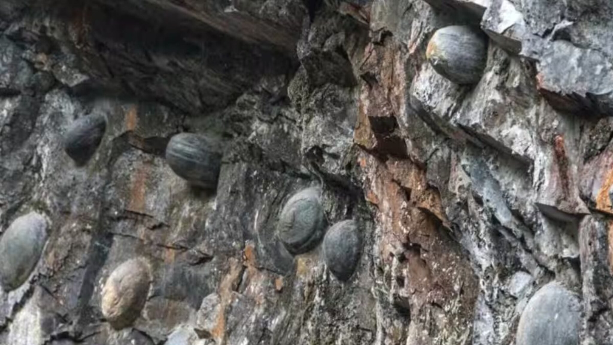 Ajab Gajab : खरंच चीनमधील डोंगर अंडी देतोय का? संशोधनात उघड झाला आश्चर्यचकित करणारा खुलासा