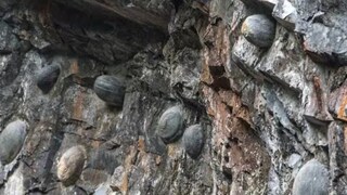 सोर्स : सोशल मीडिया सोर्स : सोशल मीडिया