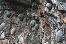 Ajab Gajab : खरंच चीनमधील डोंगर अंडी देतोय का? संशोधनात उघड झाला आश्चर्यचकित करणारा खुलासा