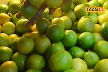 अतिवृष्टीचा पिकांना मोठा फटका, झेंडू आणि लींबूला दसऱ्याला काय मिळाला भाव? Video