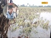 मक्कासह शाळेचं दप्तर गेलं वाहून, सिनाचं रौद्ररूप पाहणाऱ्या वैभवनं सगळं सांगितलं