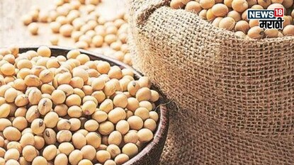 soybean market soybean market