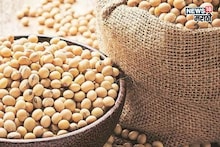 अखेर मुहूर्त ठरला! राज्यात सोयाबीन खरेदी कधीपासून सुरू होणार? मोठी अपडेट आली समोर
