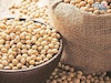 राज्यात सोयाबीन खरेदी कधीपासून सुरू होणार? मोठी अपडेट आली समोर