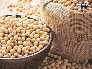 soybean market soybean market