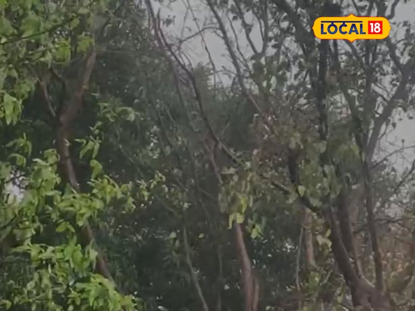 हवामान खात्याने 15 ऑक्टोबरपासून मुंबई, ठाणेसह उपनगरांना अलर्ट दिला होता. त्यानुसार ठाण्यात विजाच्या कडकडाटासह जोरदार पाऊस कोसळला. 