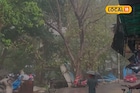 पाऊस परत आलाय! ढगांचा गडगडाट अन् वादळी वारे, मुंबईसह ठाण्याला नवा अलर्ट