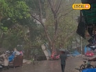 पाऊस परत आलाय! ढगांचा गडगडाट अन् वादळी वारे, मुंबईसह ठाण्याला नवा अलर्ट