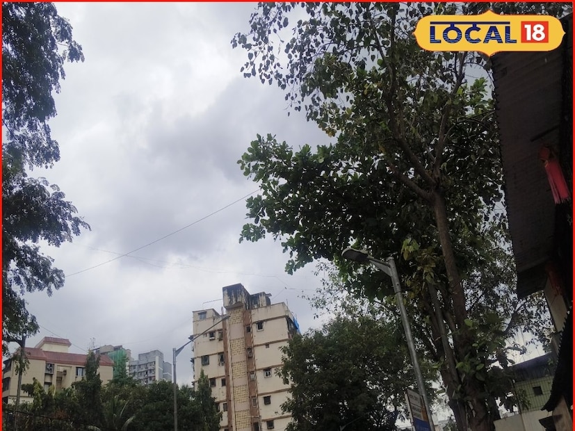 छत्रपती संभाजीनगर मध्ये कमाल तापमान 29 अंश सेल्सिअस तर किमान तापमान 20 अंश सेल्सिअस एवढं राहील. तसेच 1 ते 4 नोव्हेंबर दरम्यान हलक्या ते मध्यम पावसाची शक्यता हवामान विभागाने वर्तवली आहे. 