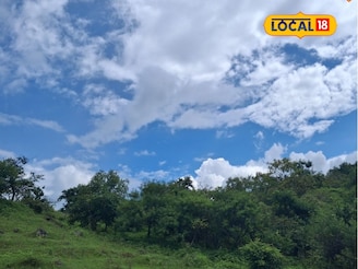 पश्चिम महाराष्ट्रात वारं फिरलं, सोलापूरवर पुन्हा संकट, शनिवारचं हवामान अपडेट