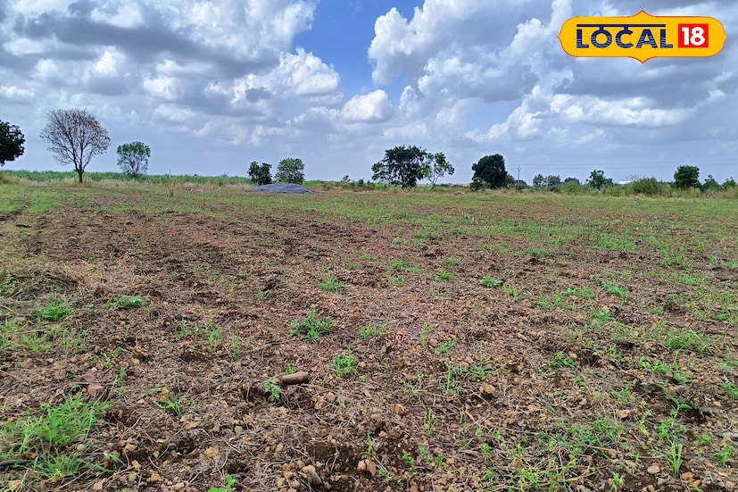 एकंदरीत राज्यातून पावसाने निरोप घेतला असून आता गुलाबी थंडी पडण्यास सुरुवात झाली आहे. मराठवाड्यासह विदर्भातील जिल्ह्यांमध्ये पावसाने उघडीप देताच, रात्रीच्या वेळी थंडी वाजण्यास सुरुवात झाली आहे. तर दक्षिण कोकण आणि पश्चिम महाराष्ट्रातील काही जिल्ह्यांमध्ये मात्र दमट हवामान आणि तुरळक ठिकाणी पावसाची शक्यता कायम आहे.