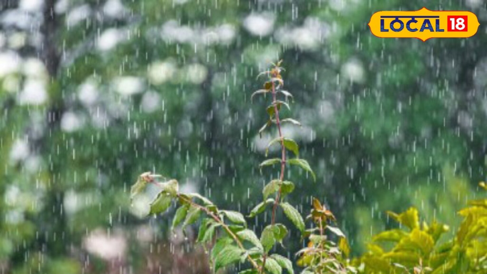 महाराष्ट्रावर पुन्हा अस्मानी संकट, सोमवारी 22जिल्ह्यात वादळी पाऊस; IMDकडून अलर्ट