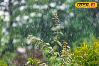 महाराष्ट्रावर पुन्हा अस्मानी संकट, सोमवारी 22जिल्ह्यात वादळी पाऊस; IMDकडून अलर्ट