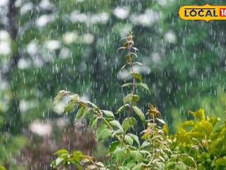 महाराष्ट्रावर पुन्हा अस्मानी संकट, सोमवारी 22जिल्ह्यात वादळी पाऊस; IMDकडून अलर्ट