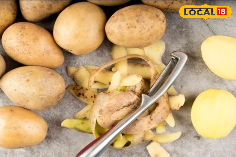 तुम्हाला बागकाम करायला आवडत असेल किंवा तुमच्या घरात फुलांची झाडे असतील तर बटाट्याच्या साली उपयुक्त ठरू शकतात. तुम्ही तुमच्या झाडांसाठी खत बनवू शकता. वाळलेल्या बटाट्याच्या साली मिक्सरमध्ये बारीक करून मातीत मिसळा, ज्यामुळे झाडांना भरपूर पोषण मिळते.