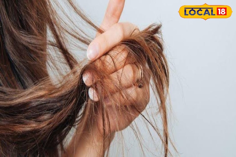 आठवड्यातून एकदा घरगुती हेअर मास्क लावणे फायदेशीर आहे. दही, मध आणि कोरफड जेलचा पॅक केसांना खोलवर पोषण देतो. ते चमक पुनर्संचयित करते आणि कोरडेपणा दूर करते.