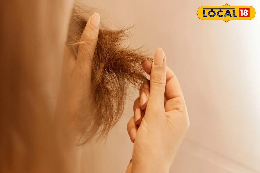 थंड वारे केसांना कमकुवत करतात. जर बाहेर केस मोकळे सोडले तर केस धूळ आणि थंडीला अधिक संवेदनशील होतात. म्हणून ते स्कार्फ, टोपी किंवा स्टोलने झाकणे आवश्यक आहे. हे केसांचा ओलावा टिकवून ठेवण्यास मदत करते आणि तुटणे कमी करते.