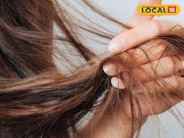थंड वाऱ्याने केस रुक्ष झालेत? या टिप्स फॉलो करा, काही दिवसांत होतील मऊ-सिल्की थंड वाऱ्याने केस रुक्ष झालेत? या टिप्स फॉलो करा, काही दिवसांत होतील मऊ-सिल्की