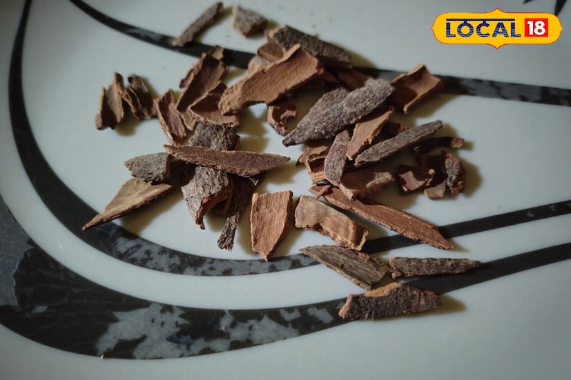 दालचिनी : दालचिनी प्रत्येक भारतीय स्वयंपाकघरात आढळते. त्याचा वापर गंभीर आरोग्य समस्या दूर करण्यास मदत करू शकतो. आयुर्वेदानुसार, दालचिनीमध्ये तिखट आणि उबदार प्रभाव असतो जो कफ आणि वात दोष संतुलित करतो.