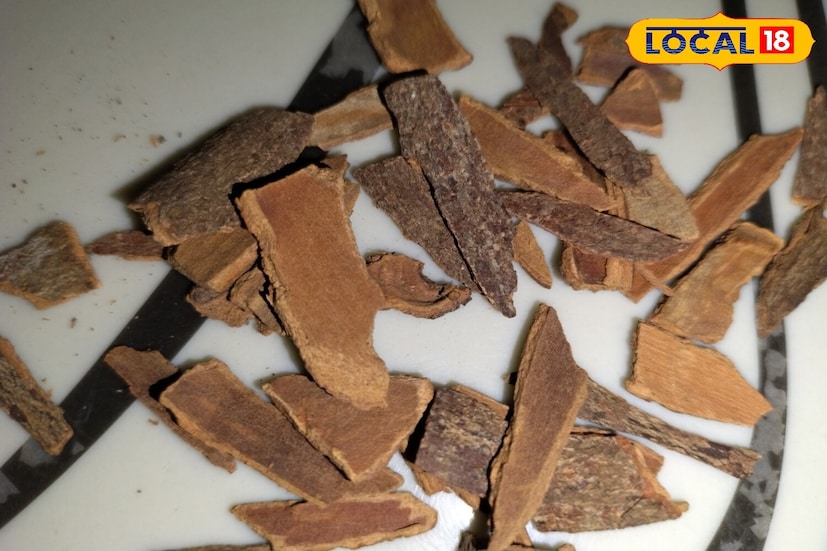 मधुमेहात दालचिनीचे फायदे : प्रसिद्ध आयुर्वेदिक चिकित्सक उमाशंकर वैद्य स्पष्ट करतात की प्रत्येक दुसऱ्या व्यक्तीला मधुमेहाचा त्रास होतो. या आजारामुळे रक्तातील साखरेची पातळी कमी होते आणि ही स्थिती निर्माण होते. दालचिनीचा वापर केल्याने रक्तातील साखरेची पातळी संतुलित राहण्यास मदत होते. यामुळे इन्सुलिनची पातळी नियंत्रित राहते आणि मधुमेह टाळता येतो.