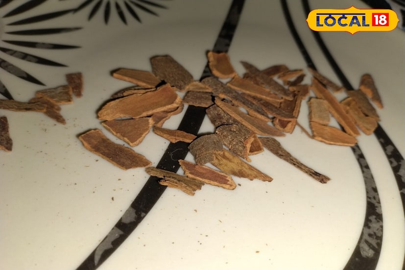 पचनसंस्था मजबूत होते : उमाशंकर वैद्य यांनी सांगितले की, दालचिनीचे नियमित सेवन पचनसंस्था देखील मजबूत करते. दालचिनीला उबदार आणि तिखट चव असते. ती पचनशक्ती वाढवते आणि पचन सुलभ करते. योग्य पचनामुळे पोटफुगी किंवा गॅस सारख्या समस्या टाळता येतात.