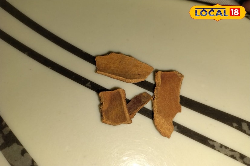 हृदयरोगात दालचिनीचा फायदा : आयुर्वेदात दालचिनीला अमृत मानले जाते कारण ते जळजळ कमी करण्यास मदत करते, पचनास मदत करते, साखरेची पातळी नियंत्रित करते आणि हृदयाच्या आरोग्यास प्रोत्साहन देते. दालचिनी शरीरातील कोलेस्टेरॉलची पातळी देखील कमी करते. यामुळे हृदयरोगाचा धोका कमी होतो.