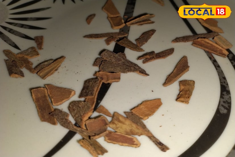 दालचिनीचे अनेक फायदे आहेत : याशिवाय दालचिनी खोकला, सर्दी आणि घशातील रक्तसंचय यासारख्या श्वसनाच्या आजारांवर उपचार करण्यास मदत करते. महिलांमध्ये मासिक पाळीच्या वेदना कमी करण्यासाठी देखील ती खूप उपयुक्त आहे. दालचिनी ही एक शक्तिशाली औषधी वनस्पती आहे जी नियमितपणे आहारात वापरली पाहिजे. ती प्रत्येक भारतीय घराच्या स्वयंपाकघरात आढळते.