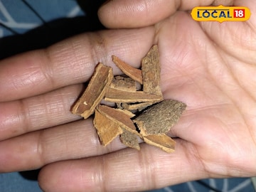 किचनमधील 'हा' मसाला मधुमेह ते हृदयरोगापर्यंत अनेक आजार ठेवतो दूर! वाचा फायदे किचनमधील 'हा' मसाला मधुमेह ते हृदयरोगापर्यंत अनेक आजार ठेवतो दूर! वाचा फायदे