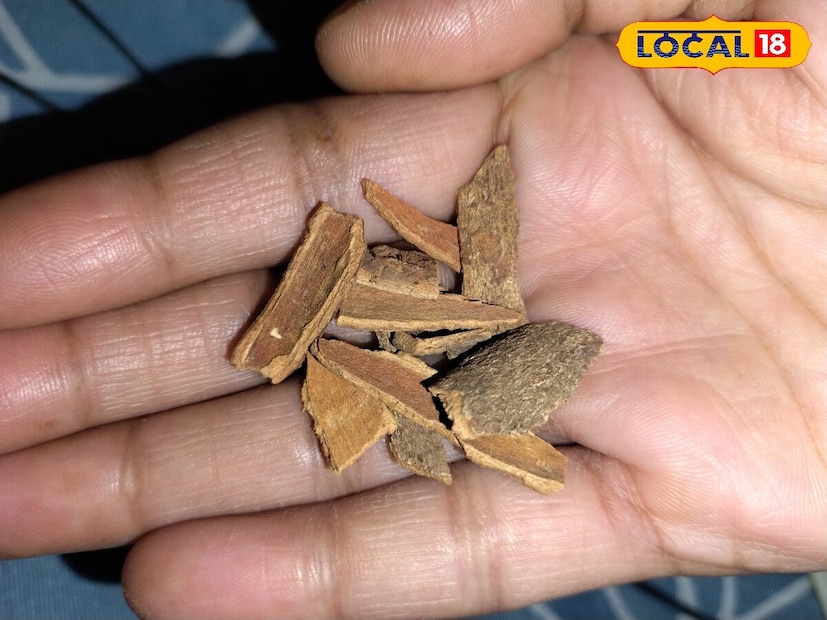 आपण आपल्या दैनंदिन जीवनात काही विशिष्ट पदार्थांचा वापर करतो ज्यांचे वर्णन आयुर्वेदा अमृतासमान केले आहे. या पदार्थांमुळे अनेक आजार बरे होऊ शकतात. आयुर्वेदानुसार, वात, पित्त आणि कफातील असंतुलन अनेक आजारांना कारणीभूत ठरते. आले, काळी मिरी, लवंग, कच्ची हळद, लिंबू, वेलची आणि दालचिनी हे सर्व भारतीय स्वयंपाकघरांमध्ये सामान्य घटक आहेत आणि ते सर्व आयुर्वेदात औषधी मानले जातात. आपण आपल्या दैनंदिन जीवनात काही विशिष्ट पदार्थांचा वापर करतो ज्यांचे वर्णन आयुर्वेदा अमृतासमान केले आहे. या पदार्थांमुळे अनेक आजार बरे होऊ शकतात. आयुर्वेदानुसार, वात, पित्त आणि कफातील असंतुलन अनेक आजारांना कारणीभूत ठरते. आले, काळी मिरी, लवंग, कच्ची हळद, लिंबू, वेलची आणि दालचिनी हे सर्व भारतीय स्वयंपाकघरांमध्ये सामान्य घटक आहेत आणि ते सर्व आयुर्वेदात औषधी मानले जातात.